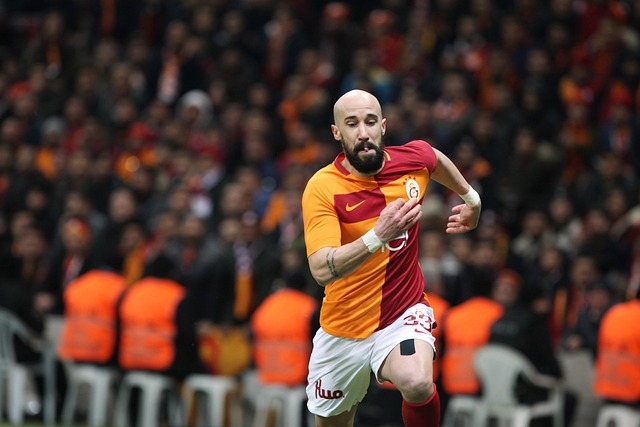 了上賽季英 了上賽季英